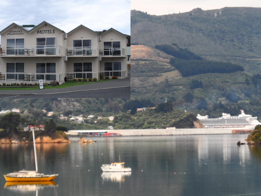 Otago Peninsula Motel Portobello Ngoại thất bức ảnh
